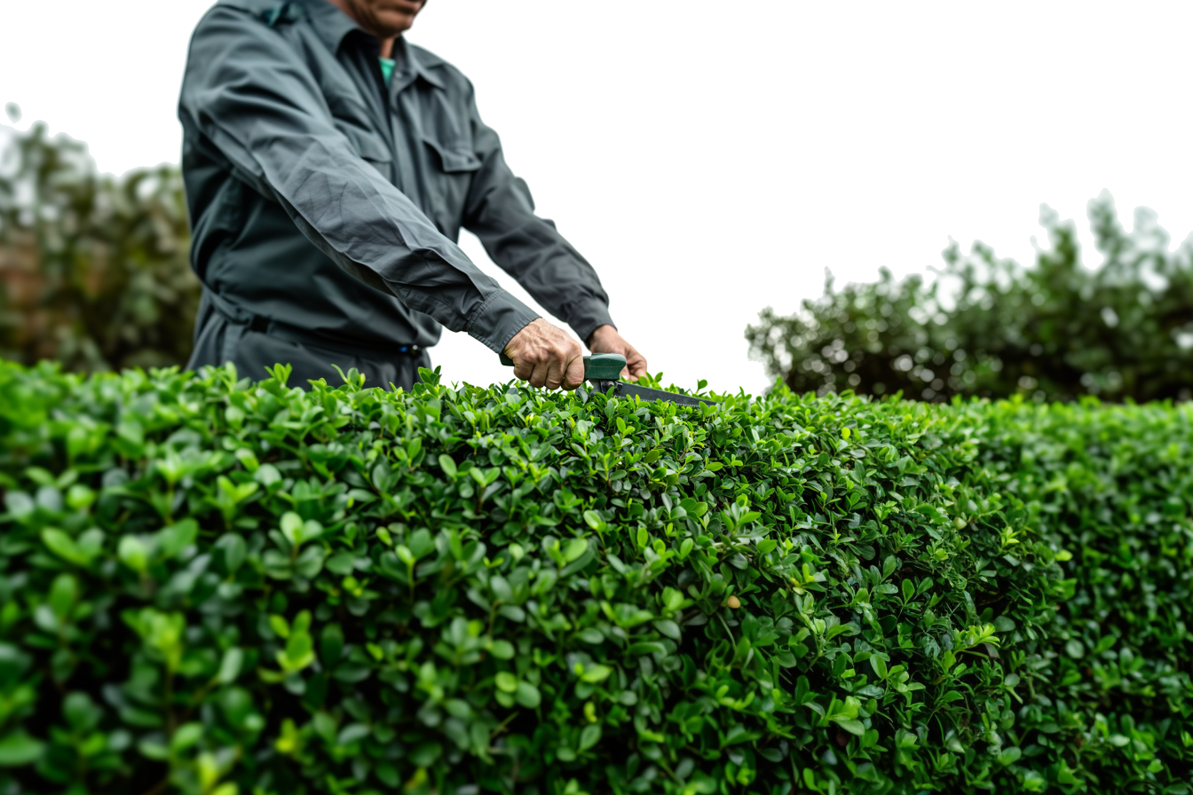Gartenpflege